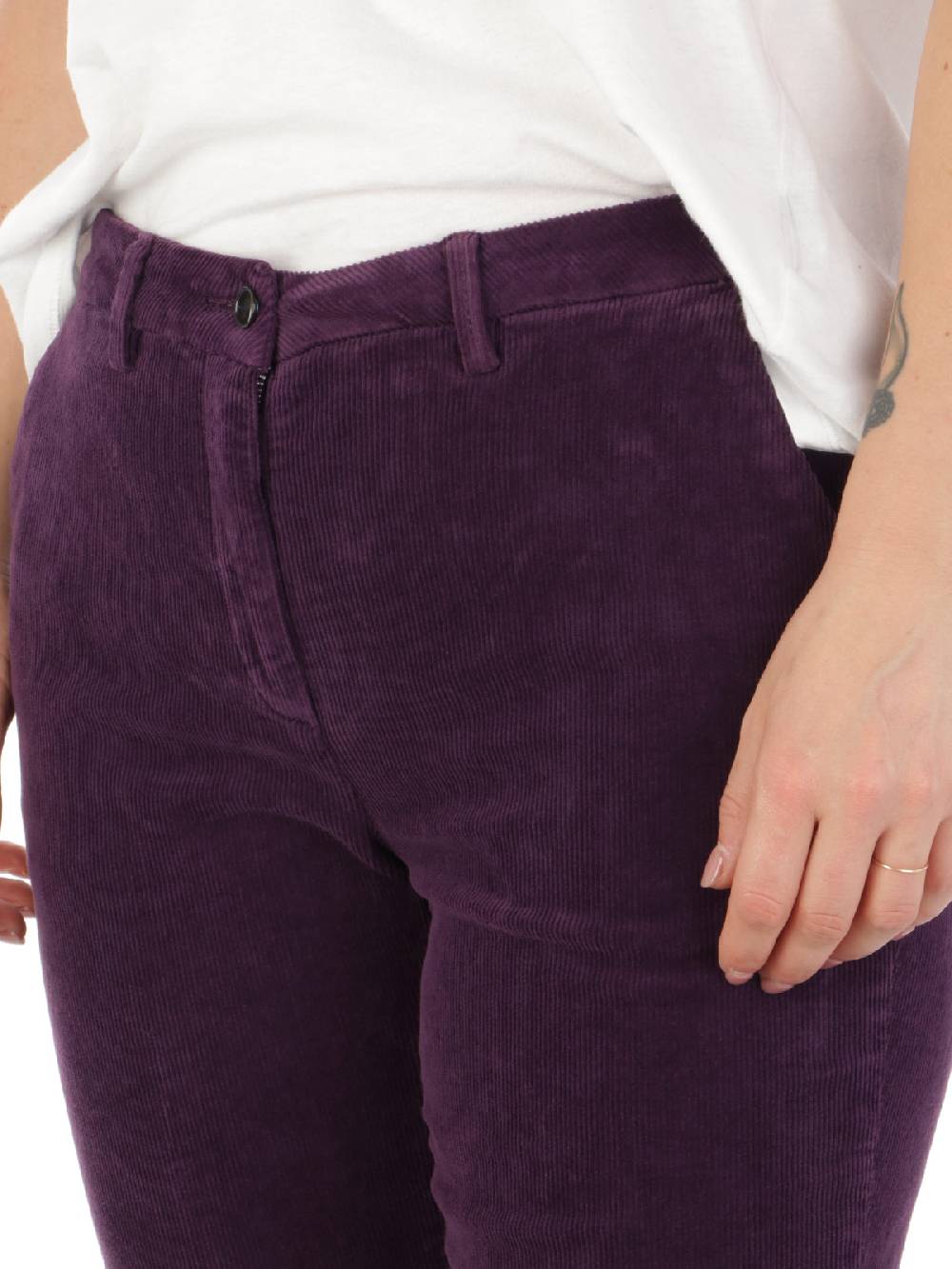 BRIGLIA 1949 Pantaloni Donna Roller in Velluto Online