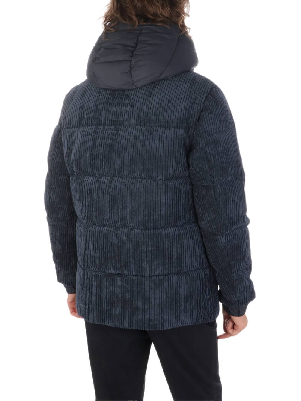 SAVE THE DUCK Giubbotto Uomo Albus in Velluto Outlet
