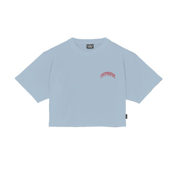 Propaganda Triangle Bengala Crop Top Tee – Sky Prezzo Ridotto