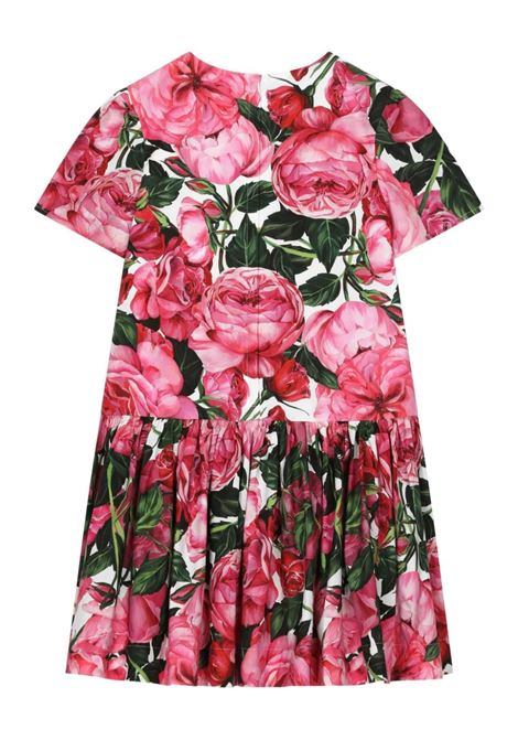DOLCE & GABBANA KIDS Abito Con Stampa Di Rose Su Sfondo Bianco - DOLCE & GABBANA KIDS Offerta migliore